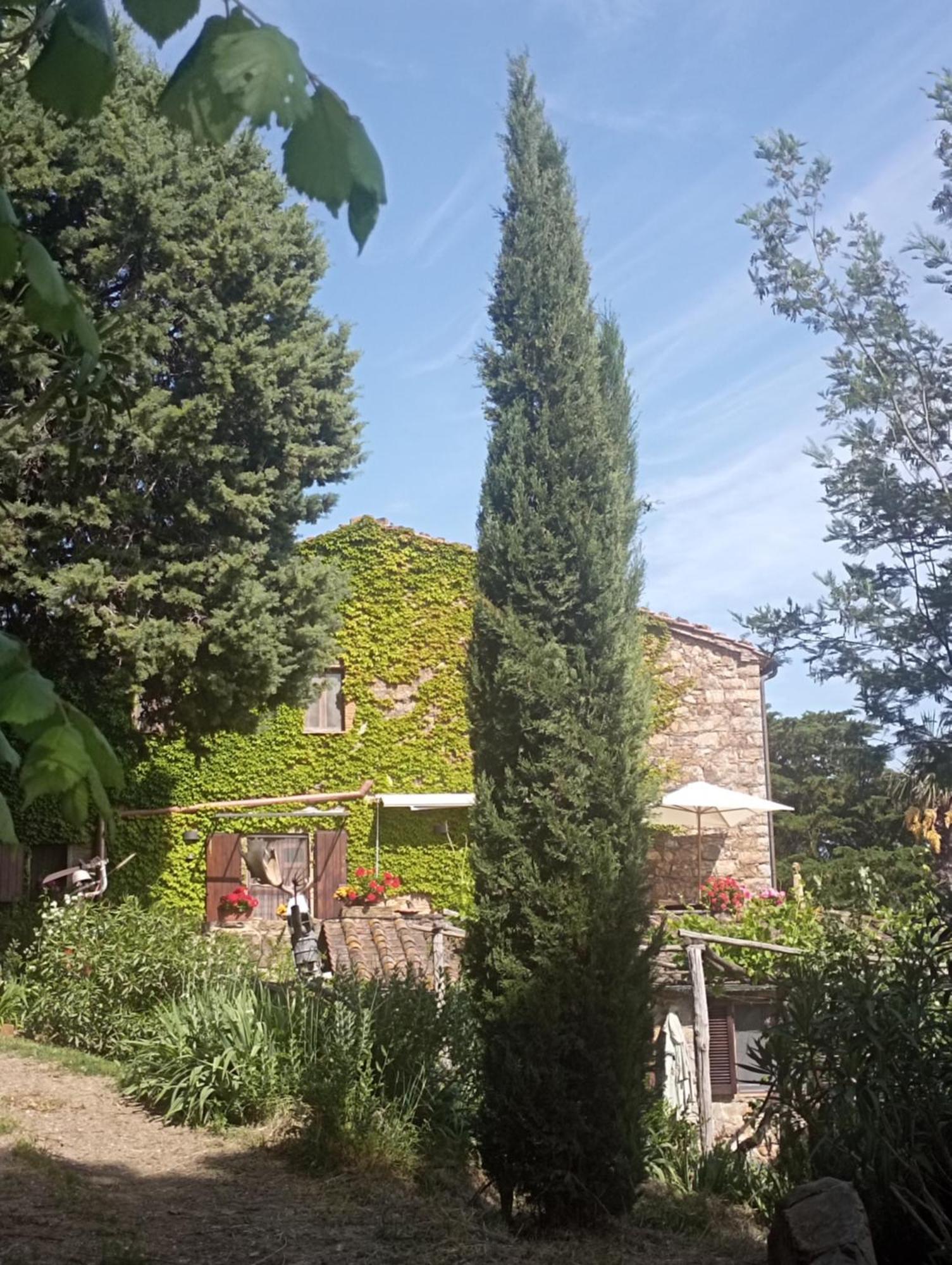 Гостьовий будинок Casa Marju Montemassi Екстер'єр фото